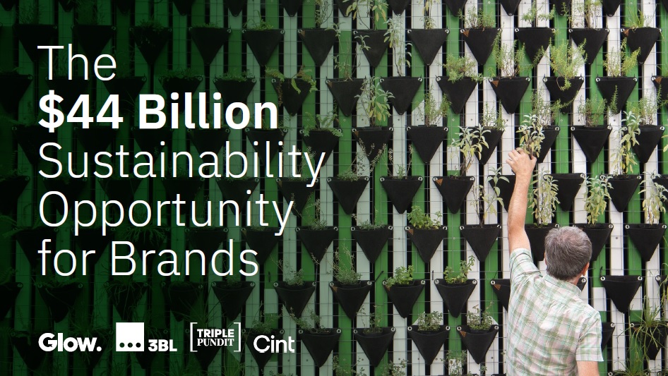 Size of Prize: The $44 Billion Sustainability Opportunity